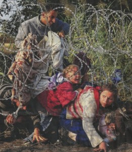 migrant pic
